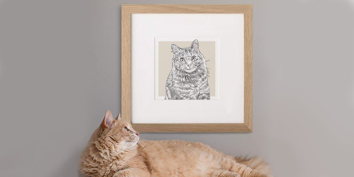 letterfest personalised pet portrait