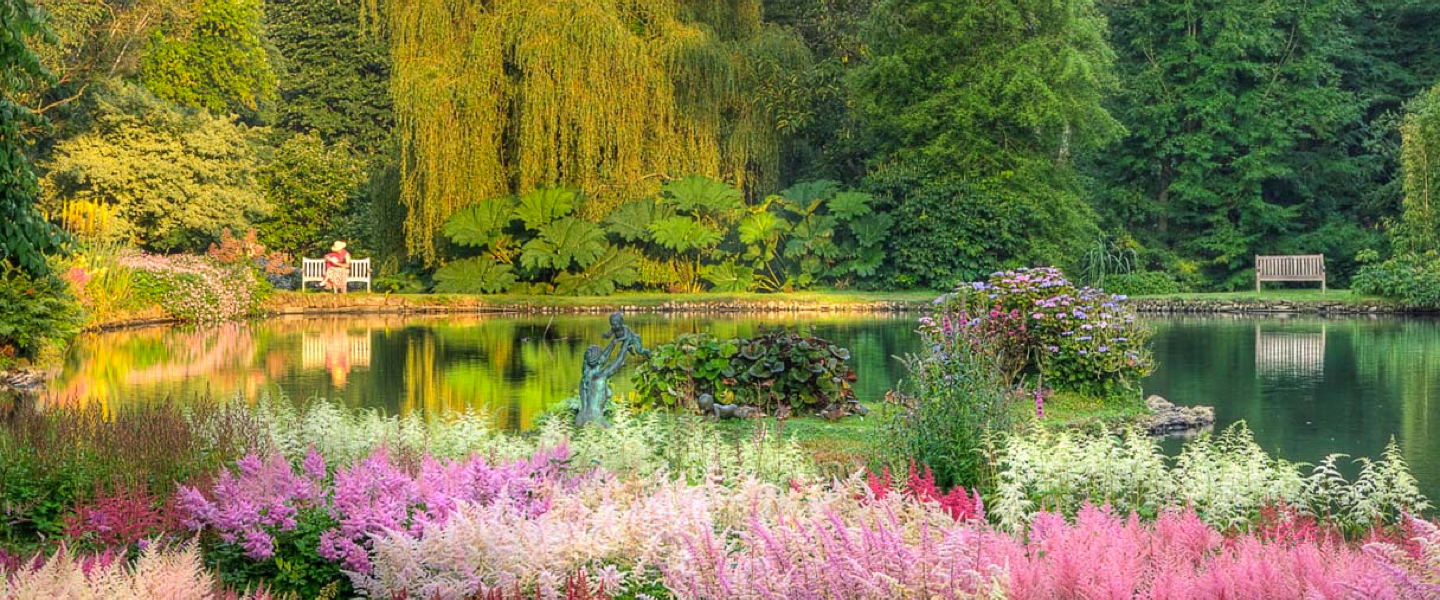 Tales from the garden - January