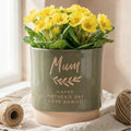 Personalised name indoor plant pot