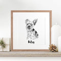 Pet Portrait Sketch