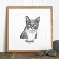 Pet Portrait Sketch