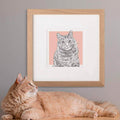 Bespoke Cat Illustration