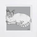 Bespoke Cat Illustration
