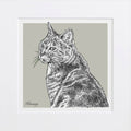 Bespoke Cat Illustration