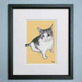 Bespoke Cat Illustration