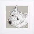 Bespoke Pet Illustration