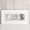 Story Of Our Pets Illustration