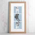 Story Of Our Pets Illustration