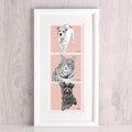 Story Of Our Pets Illustration