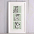 Story Of Our Pets Illustration
