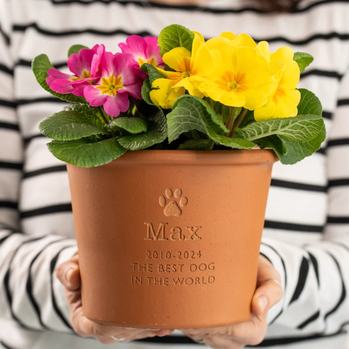 memorial potted plants Personalised Pet Memorial Plant Pot – Letterfest