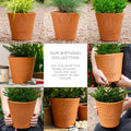 40th Birthday Personalised Plant Pot