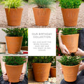80th Birthday Personalised Plant Pot