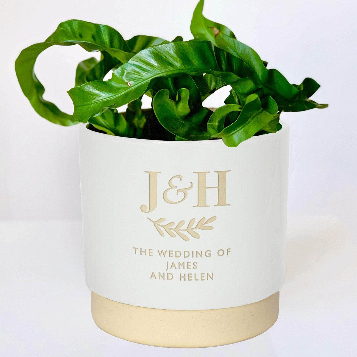 Personalised Couples Indoor Plant Pot Letterfest 5456