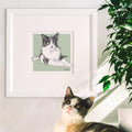 Bespoke Cat Illustration