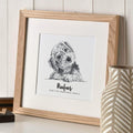 Pet Portrait Sketch