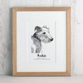 Pet Portrait Sketch