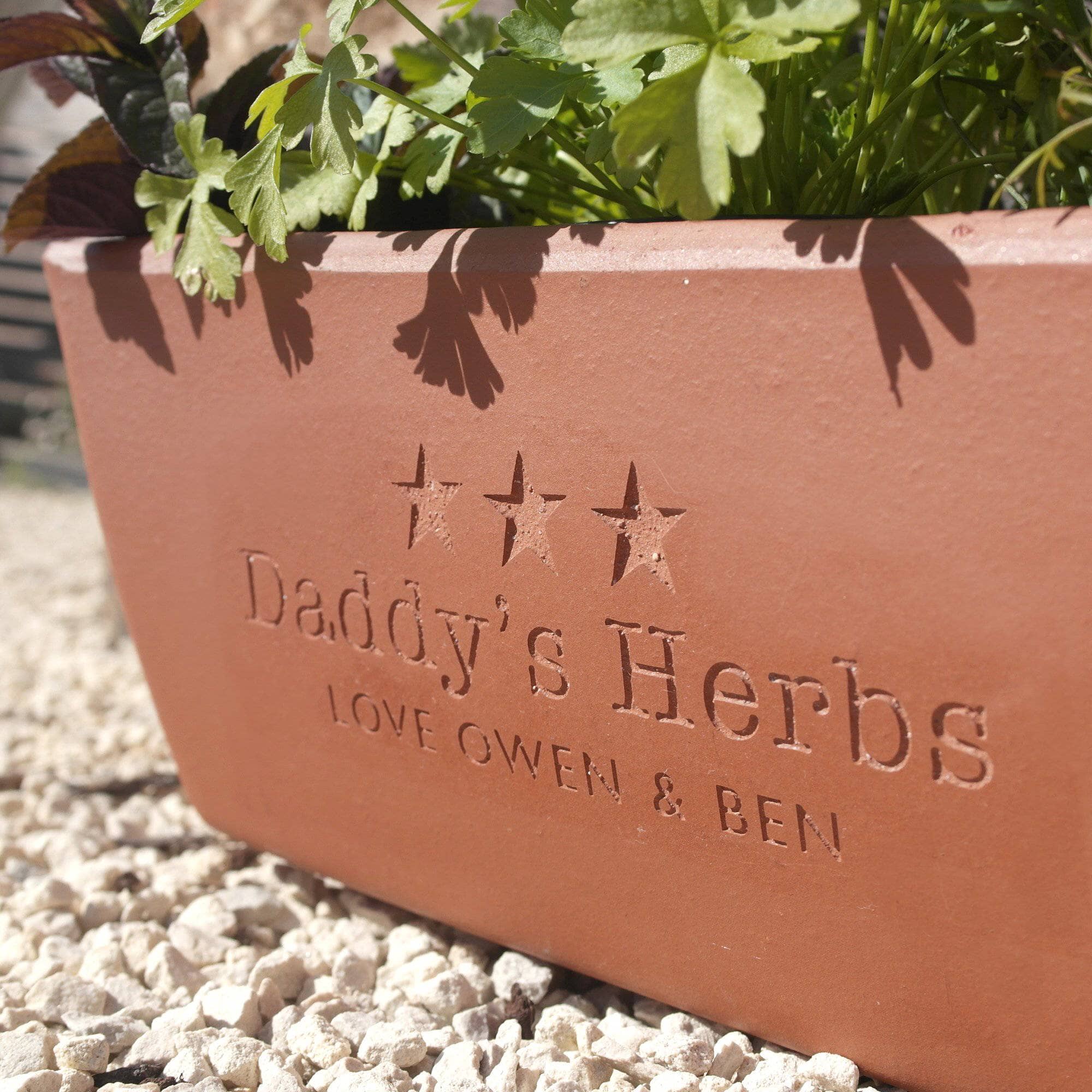 letterfest terracotta Engraved Message Terracotta Planter