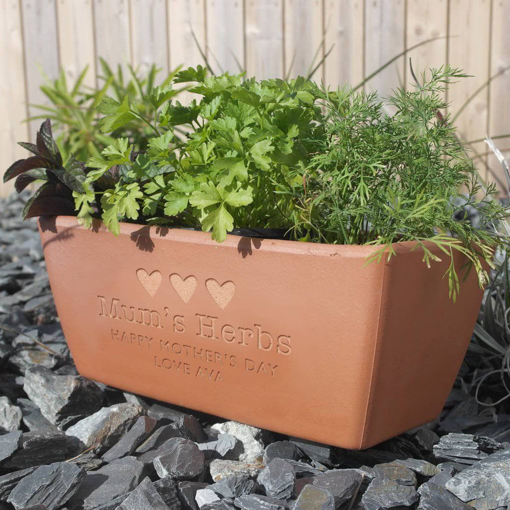 letterfest terracotta Engraved Message Terracotta Planter