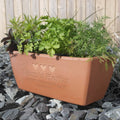 letterfest terracotta Engraved Message Terracotta Planter
