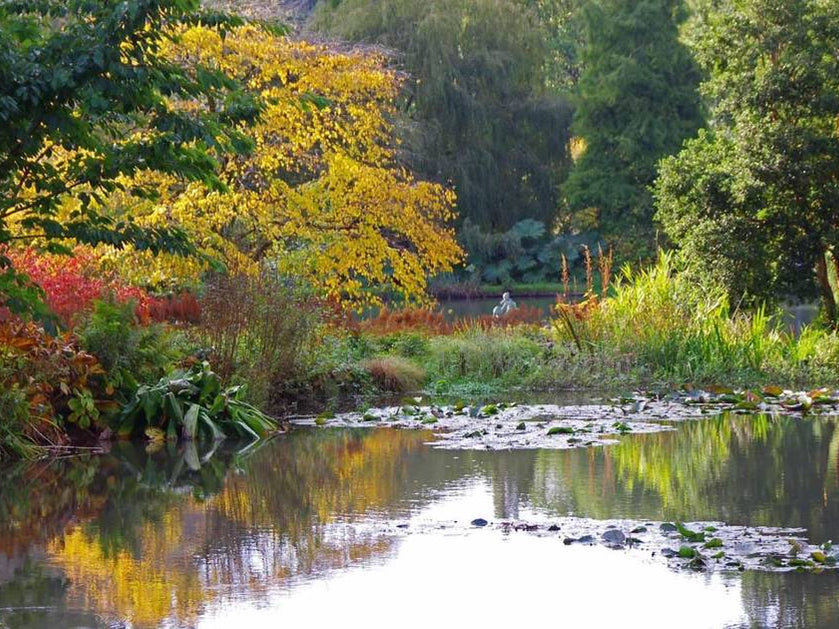 Tales From The Garden February 2022