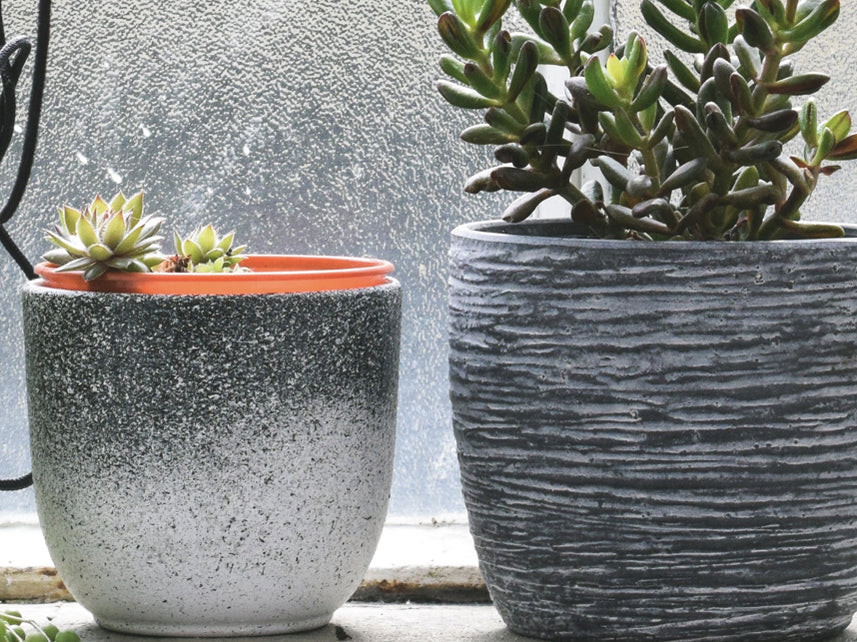 Bringing Nature Indoors: Tips for Creating a Beautiful Indoor Garden with Plant Pots