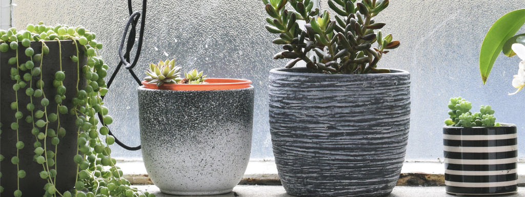 Bringing Nature Indoors: Tips for Creating a Beautiful Indoor Garden with Plant Pots