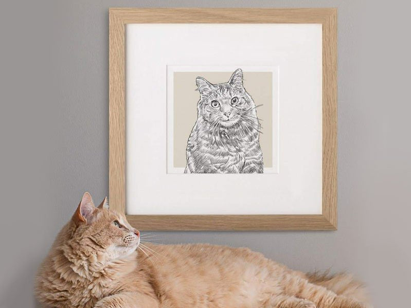 letterfest personalised pet portrait