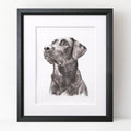 Watercolour Pet Portrait