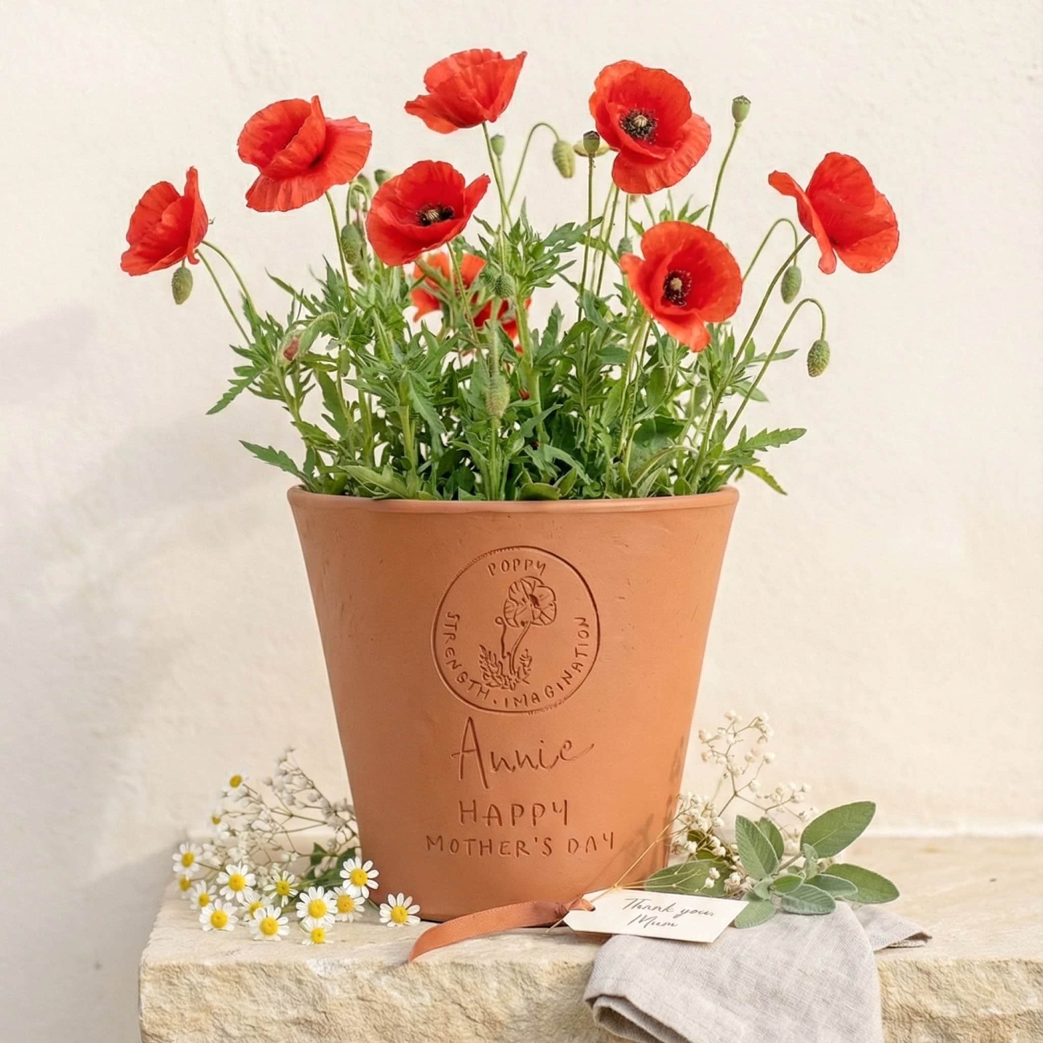 birth flower plant pot Personalised Birthflower Plant Pot