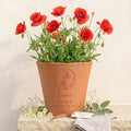 Engraved Birth Flower Plant Pot