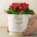 Personalised name indoor plant pot