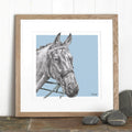 Bespoke Horse Illustration