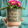 Mother's Day Indoor plant pot