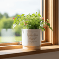 Personalised christening indoor plant pot