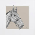 Bespoke Horse Illustration