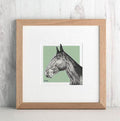 Bespoke Horse Illustration