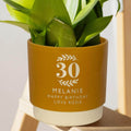 Personalised 30th birthday indoor plant pot