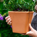 Grandparent personalised plant pot