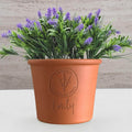 Personalised Small Round Birth Flower Pot