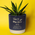 Personalised graduation indoor plant pot