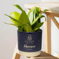 Personalised housewarming indoor plant pot