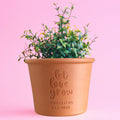 letterfest terracotta Personalised Let Love Grow Plant Pot