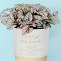 Personalised new baby indoor plant pot