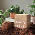 Personalised housewarming indoor plant pot