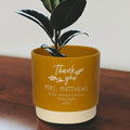 Personalised teachers indoor plant pot
