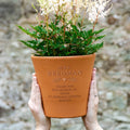 Thank you message personalised plant pot